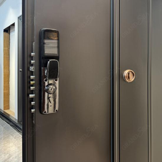 minimalist stainless steel Exterior door